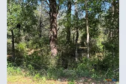 2183 Fm 3283, Hallettsville, TX 77964 - Photo 44
