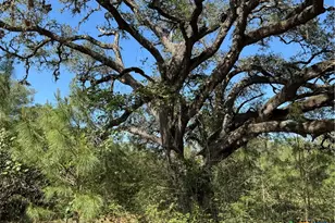 2183 Fm 3283, Hallettsville, TX 77964 - Photo 42