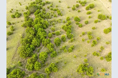Tbd 21.5 Acres County Road 517, Evant, TX 76525 - Photo 26