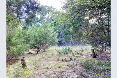 63 Cedar Trails Drive, Belton, TX 76513 - Photo 1