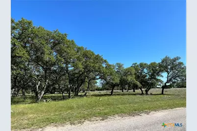 Lot 125 Red Stag Court, Lampasas, TX 76550 - Photo 14