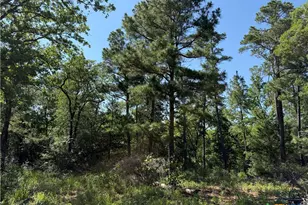 380 Private Road 6040, Cameron, TX 75620 - Photo 14