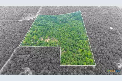 380 Private Road 6040, Cameron, TX 75620 - Photo 8