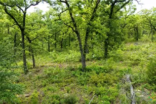 380 Private Road 6040, Cameron, TX 75620 - Photo 24
