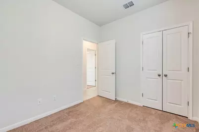 360 Spiny Lizard Lane, San Marcos, TX 78666 - Photo 14