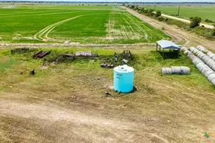 0 County Road 395, Louise, TX 77455 - Photo 10