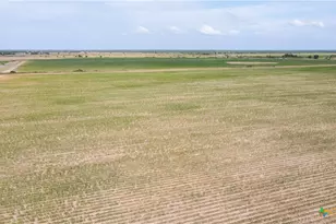 0 County Road 395, Louise, TX 77455 - Photo 26