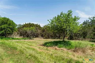 Tbd County Road 203, Burnet, TX 78611 - Photo 2