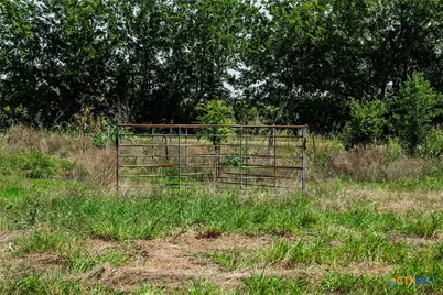 Tbd County Road 203, Burnet, TX 78611 - Photo 8