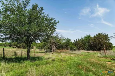 Tbd County Road 203, Burnet, TX 78611 - Photo 14
