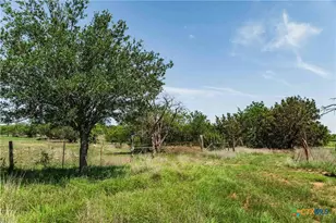 Tbd County Road 203, Burnet, TX 78611 - Photo 14