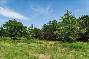 Tbd County Road 203, Burnet, TX 78611 - Photo 12