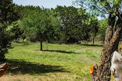 Tbd County Road 203, Burnet, TX 78611 - Photo 20