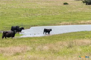 16160 Siler Rd, Moody, TX 76557 - Photo 6