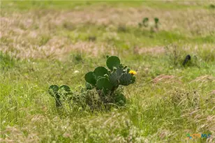 16160 Siler Rd, Moody, TX 76557 - Photo 14