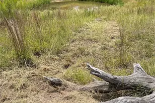 184 Guadalupe Hills Ln, Seguin, TX 78155 - Photo 36