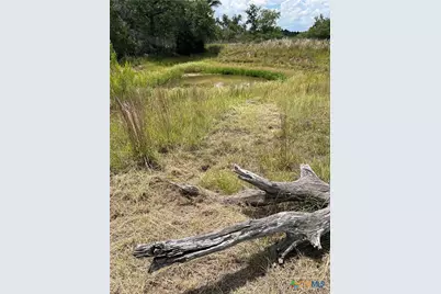 184 Guadalupe Hills Lane, Seguin, TX 78155 - Photo 38