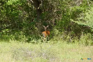 000 Fordtran Rd Tract 5, Thomaston, TX 77954 - Photo 34
