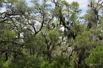 000 Fordtran Rd Tract 6, Thomaston, TX 77954 - Photo 10