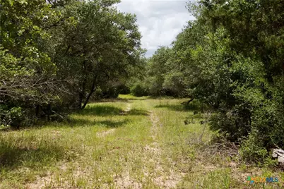 000 Fordtran Rd Tract 7, Thomaston, TX 77954 - Photo 20