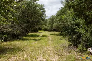 000 Fordtran Rd Tract 7, Thomaston, TX 77954 - Photo 20