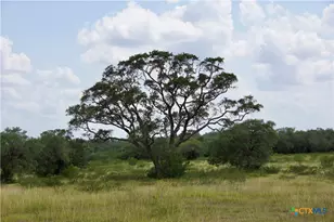 000 Fordtran Rd Tract 8, Thomaston, TX 77954 - Photo 36