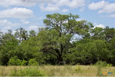 000 Fordtran Rd Tract 9, Thomaston, TX 77954 - Photo 8