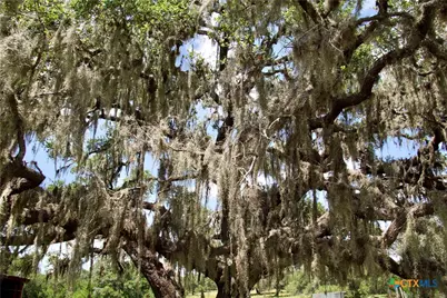 000 Fordtran Rd Tract 9, Thomaston, TX 77954 - Photo 6