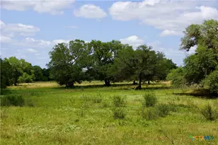 000 Fordtran Rd Tract 9, Thomaston, TX 77954 - Photo 10