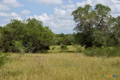 000 Zengerle Rd Tract 13, Thomaston, TX 77954 - Photo 26