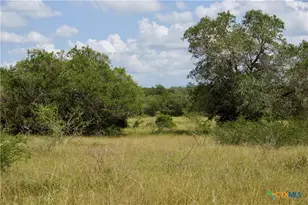 000 Zengerle Rd Tract 13, Thomaston, TX 77954 - Photo 26