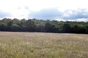 6020 FM3158, Dale, TX 78616 - Photo 10