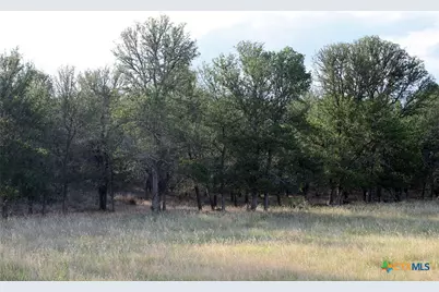 6020 Fm-3158, Dale, TX 78616 - Photo 12
