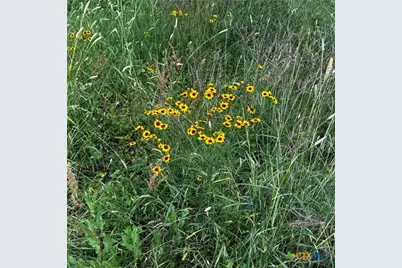 383 Fm 766, Cuero, TX 77954 - Photo 28