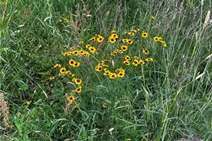 383 F-M 766, Cuero, TX 77954 - Photo 28
