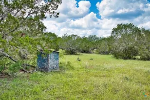 555 Summer Hl Ln, Johnson City, TX 78636 - Photo 6