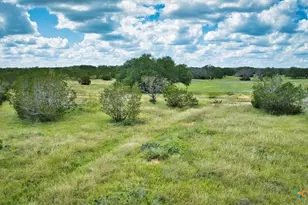 555 Summer Hl Ln, Johnson City, TX 78636 - Photo 12