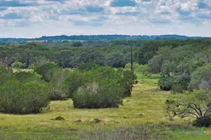 555 Summer Hl Ln, Johnson City, TX 78636 - Photo 10