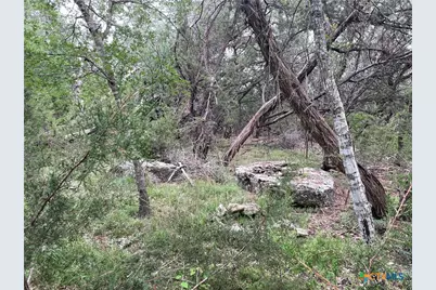 1021 Santa Fe Trail, Spring Branch, TX 78070 - Photo 2