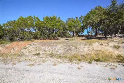 20008 Charlestown Cove, Lago Vista, TX 78645 - Photo 4