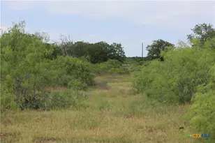 974 Cr 451, Waelder, TX 78959 - Photo 4