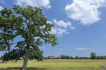 2901 Mule Creek Road, Harwood, TX 78632 - Photo 8