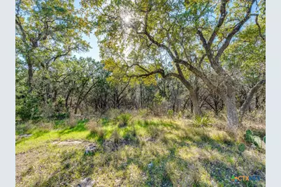 223 Lakeview Circle, Spring Branch, TX 78070 - Photo 2