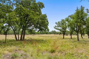 65 Miles Ln, Harper, TX 78631 - Photo 22