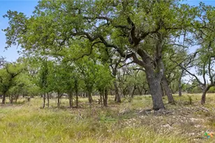 65 Miles Ln, Harper, TX 78631 - Photo 4