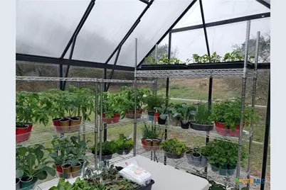 120 Buena Vista, Blanco, TX 78606 - Photo 26