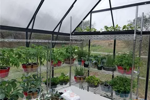 120 Buena Vista, Blanco, TX 78606 - Photo 26