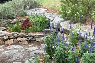 120 Buena Vista, Blanco, TX 78606 - Photo 32