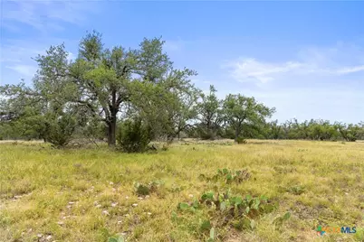 3049 Reservation Road, Harper, TX 78631 - Photo 24