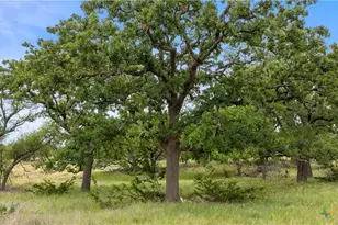 3049 Reservation Rd, Harper, TX 78631 - Photo 46